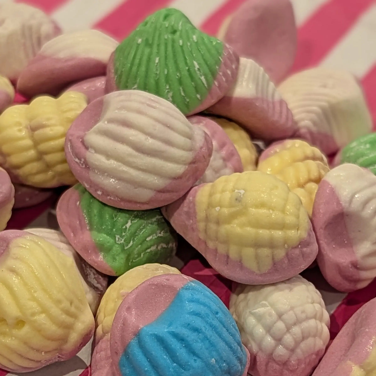 Foam Seashells - Novelty Beach Foam Sweets