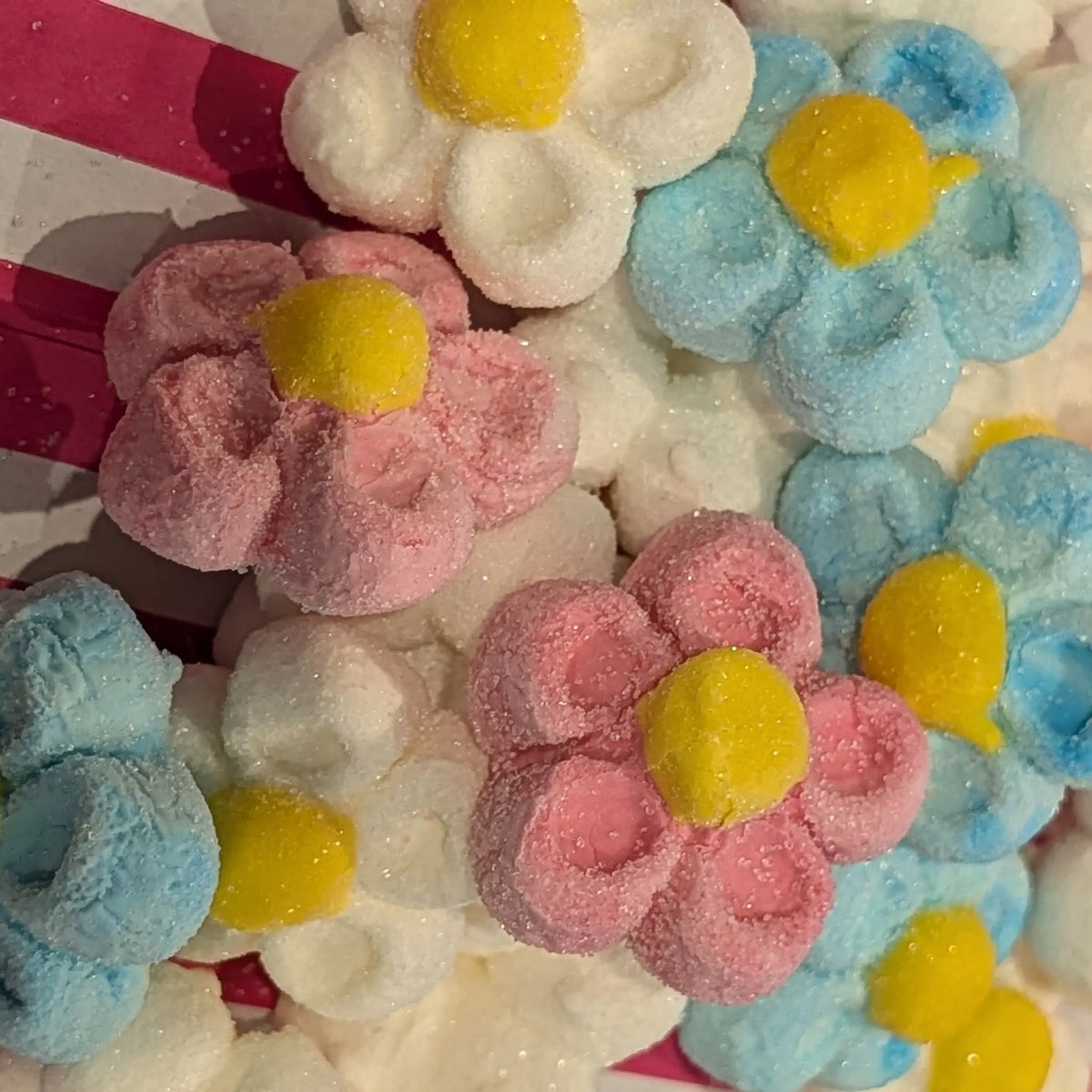 Marshmallow Flowers - Soft Marshmallow Sweet Treats